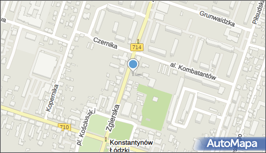 Audio-Konstantynów Mariusz Wyrębski, ul. Zgierska 7 95-050 - Przedsiębiorstwo, Firma, NIP: 7311984255