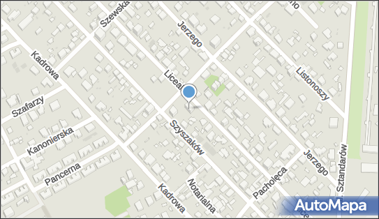 1132820611, Audit Advisors sp. z o.o. 