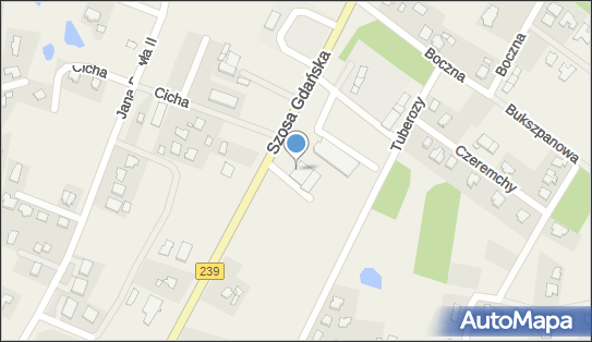 Auto Centrum Maria Alicja, Szosa Gdańska 72, Osielsko 86-031 - Przedsiębiorstwo, Firma, numer telefonu, NIP: 5541404450