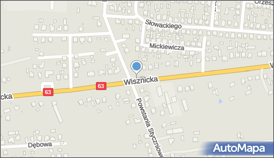 Auto Centrum, Wisznicka 10b, Radzyń Podlaski 21-300 - Przedsiębiorstwo, Firma, numer telefonu