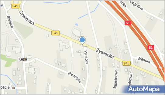 Auto Depol Leśniak Pererol, ul. Wesoła 958, Rybarzowice 43-378 - Przedsiębiorstwo, Firma, numer telefonu, NIP: 5482548927