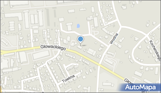 Auto - Gaz - Expert Robert Dobrzyński, ul. Bartosza Głowackiego 20 98-300 - Przedsiębiorstwo, Firma, NIP: 8321198056