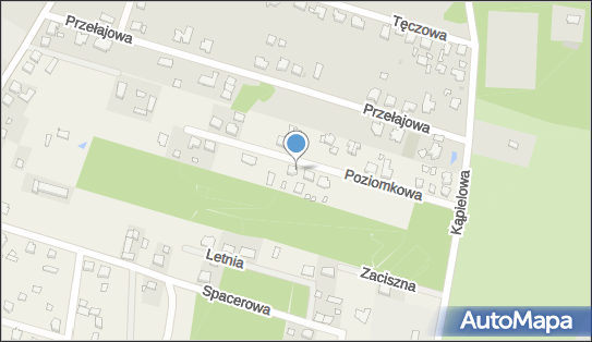 Auto - Handel Jędrzejak Damian, Poziomkowa 19, Olszyna 63-500 - Przedsiębiorstwo, Firma, NIP: 6221306367