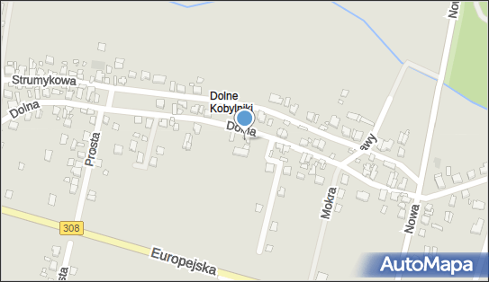 Auto Handel Justyna Skubel, Dolna 21, Grodzisk Wielkopolski 62-065 - Przedsiębiorstwo, Firma, NIP: 7881231506