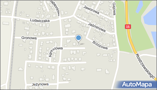 Auto Handel Transport Bo-do Bogdan Donica, Agrestowa 2, Gniezno 62-200 - Przedsiębiorstwo, Firma, NIP: 7841509869