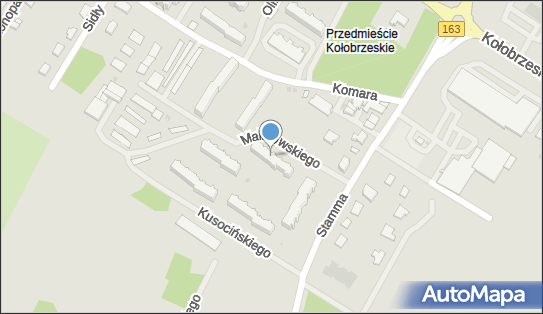 Auto Handel, ul. Bronisława Malinowskiego 1/21, Białogard 78-200 - Przedsiębiorstwo, Firma, NIP: 6721035032