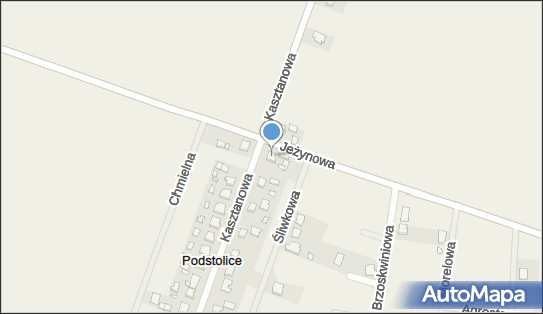 Auto - Import Mikołaj Migdalski, Kasztanowa 17, Podstolice 62-330 - Przedsiębiorstwo, Firma, NIP: 7891674889