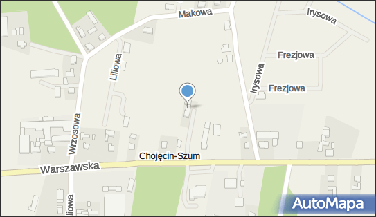 Auto-Lux Hurt-Detal Import-Export Roman Kozica, Chojęcin-Szum 16c 63-640 - Przedsiębiorstwo, Firma, NIP: 6191025088