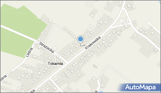 Auto Market Mieczysław Stefańczyk, Tokarnia 250, Tokarnia 26-060 - Przedsiębiorstwo, Firma, NIP: 9590437351