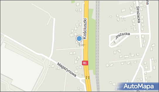 Auto Max P Plewa w Czyżewski, ul. Kościuszki 146 A, Żory 44-240 - Przedsiębiorstwo, Firma, numer telefonu, NIP: 6423022905