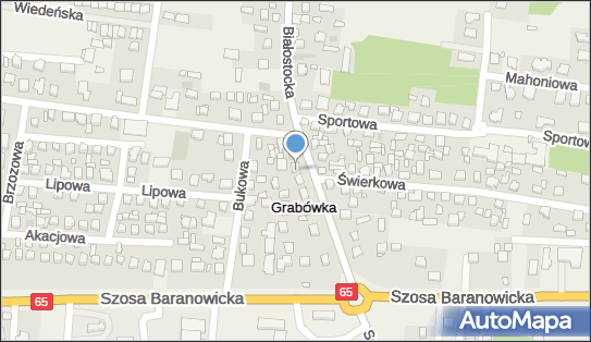 9661328966, Auto Max Serwis Mielech Radosław 