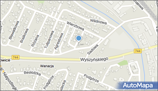 290629954, 