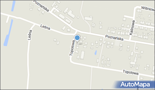 Auto - Naprawa Andrzej Pilichowski, Topolowa 28, Piotrków Kujawski 88-230 - Przedsiębiorstwo, Firma, NIP: 8891126591