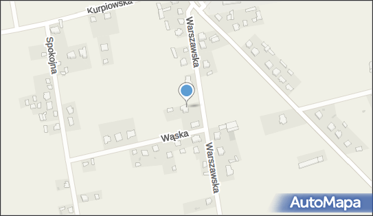 9910053908, Auto Naprawa Cwalina Michał 