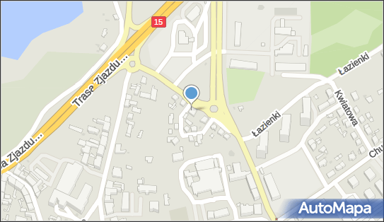 Auto Naprawa i Kosmetyka, Auto Handel, ul. Żwirki i Wigury 39 62-200 - Przedsiębiorstwo, Firma, NIP: 7842125869