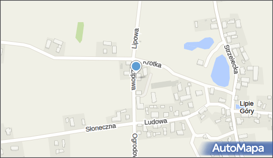 Auto Naprawa Marek Korycki, ul. Lipowa 1, Lipie Góry 66-510 - Przedsiębiorstwo, Firma, NIP: 5941397570