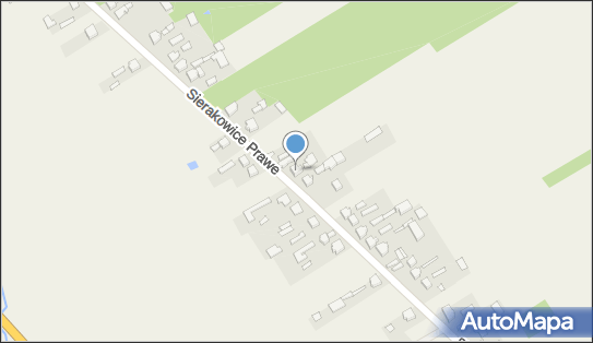 Auto Naprawa, Sierakowice Prawe 113A, Sierakowice Prawe 96-100 - Przedsiębiorstwo, Firma, NIP: 8361043348