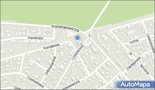 Auto Naprawa, Codzienna 59, Warszawa 03-668 - Przedsiębiorstwo, Firma, NIP: 1131339509