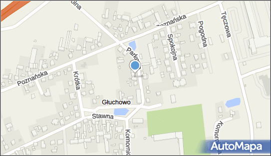 Auto Naprawa, Parkowa 5, Głuchowo 62-052 - Przedsiębiorstwo, Firma, NIP: 7771703921