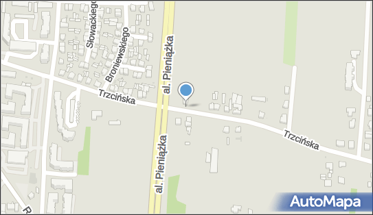 AUTO-PASJA Paweł Wardzyński, wynajem, kupno-sprzedaż, wypożyczal 96-100 - Przedsiębiorstwo, Firma, numer telefonu