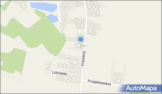 9231003109, Auto - Pol - Trans Sławomir Wośko 