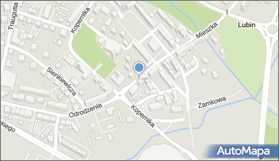 971307117, Auto-Pol Jarosław Chorąży 