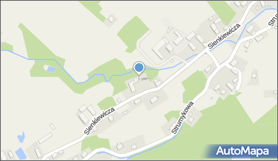 Auto - Service Adam Lech, ul. Henryka Sienkiewicza 44 58-308 - Przedsiębiorstwo, Firma, NIP: 8861131239