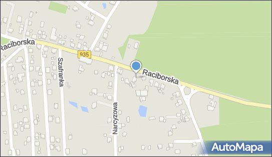 Auto Service P T A Sanecznik Tomasz Sanecznik Judyta Sanecznik 44-280 - Przedsiębiorstwo, Firma, numer telefonu, NIP: 6471003610