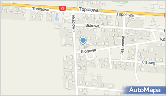 Auto Serwis Karol Badowski, Klonowa 1, Słodków-Kolonia 62-700 - Przedsiębiorstwo, Firma, NIP: 6652180563