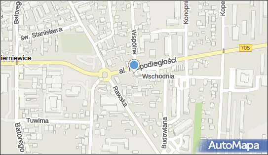 Auto Serwis, ul. Wschodnia 1, Skierniewice 96-100 - Przedsiębiorstwo, Firma, NIP: 8361654709