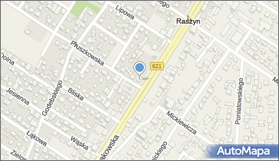 1230816094, Auto-Szkoła Efekt Adam Kacprowicz 