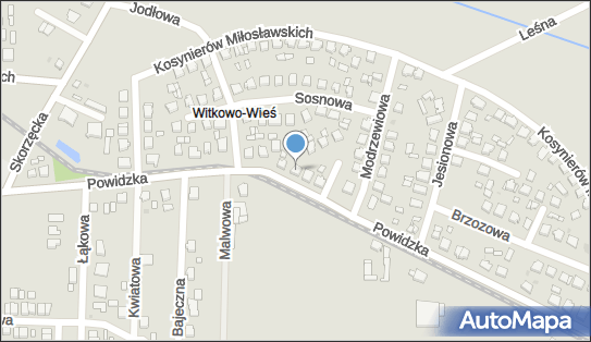 Auto Transport Holowanie Naprawa Stanisław Witczak, Powidzka 35 62-230 - Przedsiębiorstwo, Firma, NIP: 6671132134
