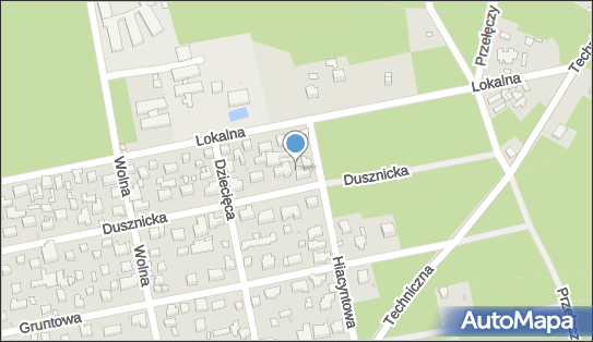 Auto Warszawskie, Dusznicka 89, Warszawa 04-904 - Przedsiębiorstwo, Firma, numer telefonu