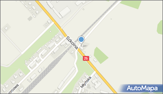 Autodastin Usługi Motoryzacyjne Dariusz Wesołowski, Szkolna 12 77-300 - Przedsiębiorstwo, Firma, NIP: 8431470275
