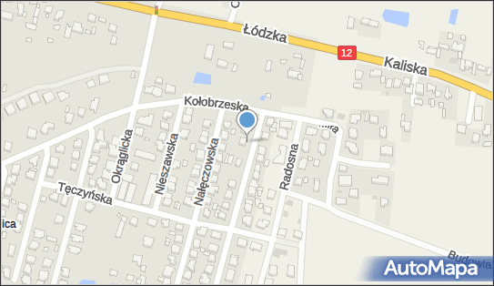Automatum, Racławicka 3, Kalisz 62-800 - Przedsiębiorstwo, Firma