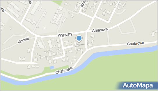 Automix Kamil Wiszyński, Chabrowa 6, Augustów 16-300 - Przedsiębiorstwo, Firma, NIP: 8461588627
