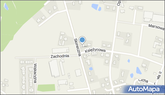 Autoryzowany Zakład Elektronicznej Ochrony Mienia, Osielsko 86-031 - Przedsiębiorstwo, Firma, NIP: 5541693649