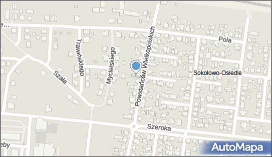 Autospawplast, Powstańców Wielkopolskich 61a, Września 62-300 - Przedsiębiorstwo, Firma, NIP: 7891348925