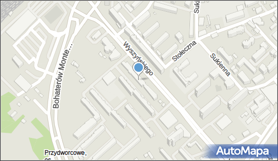 5421698578, Avangarda Agnieszka Bujwid 