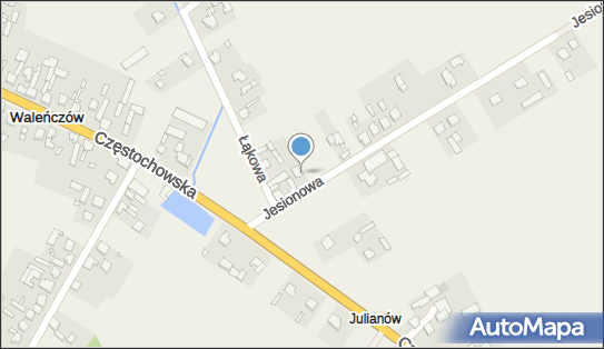 5742063599, Avocado - Karolina Kałuża 