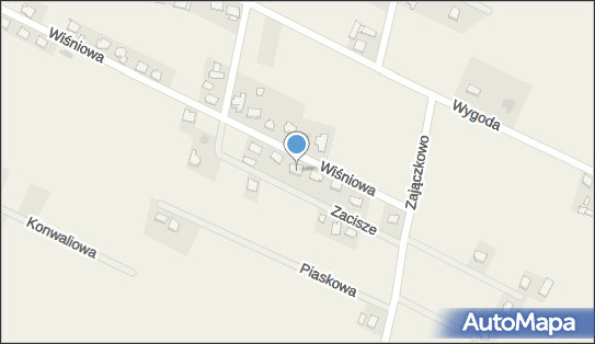 B R S Transport, ul. Wiśniowa 38, Czernikowo 87-640 - Przedsiębiorstwo, Firma, NIP: 8751215952