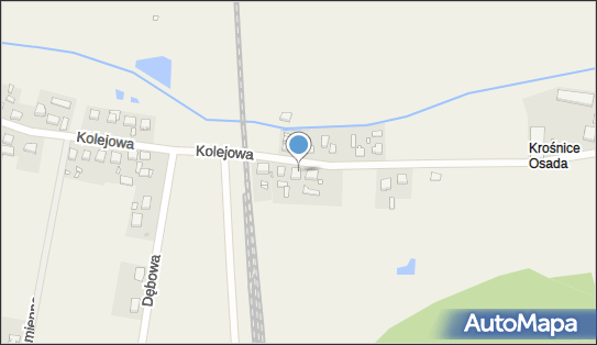 B S Transport, ul. Kolejowa 42A, Krośnice 56-320 - Przedsiębiorstwo, Firma, NIP: 9161354009