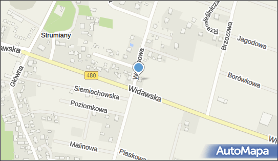 Bagieńska Fice Marzena, Wczasowa 2, Strumiany 98-260 - Przedsiębiorstwo, Firma, NIP: 6331116231