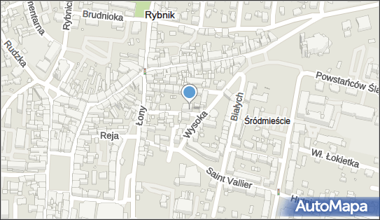 Balonik Syrek, ul. Stanisława Staszica 9, Rybnik 44-200 - Przedsiębiorstwo, Firma, NIP: 6422489937
