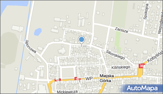 Baltom Tomasz Balcerzak, ul. Sikorskiego 12, Miejska Górka 63-910 - Przedsiębiorstwo, Firma, NIP: 6991387077