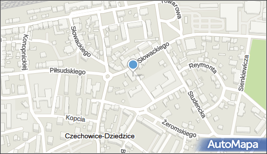 Bank Spółdzielczy Czechowice Dziedzice Bestwina 43-502 - Przedsiębiorstwo, Firma, numer telefonu, NIP: 6521003435