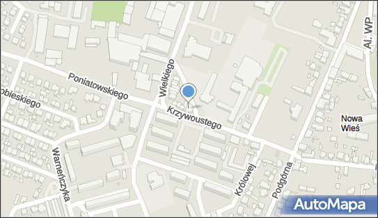 Bar Bambus Nguyen Van Tieng, Bolesława Krzywoustego 8, Pleszew 63-300 - Przedsiębiorstwo, Firma, NIP: 6182036566