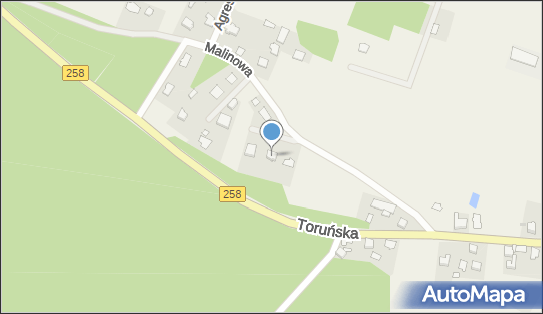 Bar Leśny, Osiek nad Wisłą 33, Osiek nad Wisłą 87-125 - Przedsiębiorstwo, Firma, NIP: 8791138519