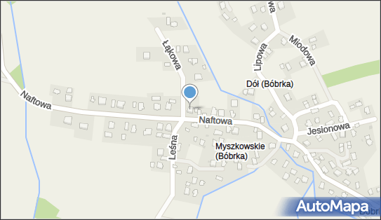 Bar Naftusia, Bóbrka NN, Bóbrka 38-455 - Przedsiębiorstwo, Firma, NIP: 6841419516
