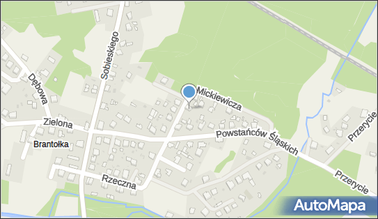 Bar pod Lasem, ul. Mickiewicza 8, Rudy 47-430 - Przedsiębiorstwo, Firma, NIP: 6390011976